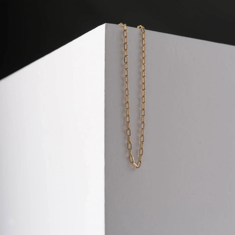 Chaîne fine maille paperclip en or jaune 14 carats suspendue à un présentoir blanc