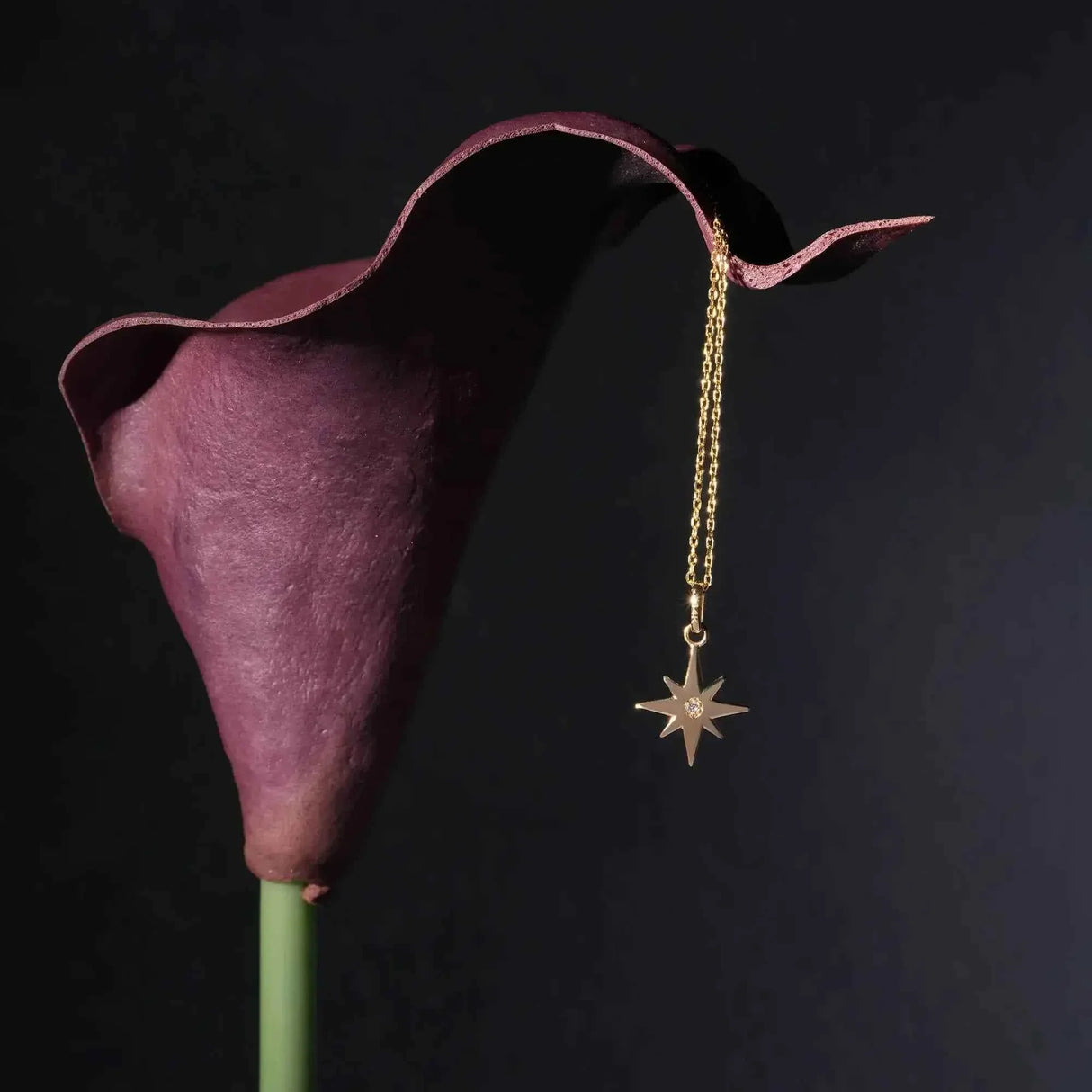 Celestial North Star Necklace – Guiding Light Pendant